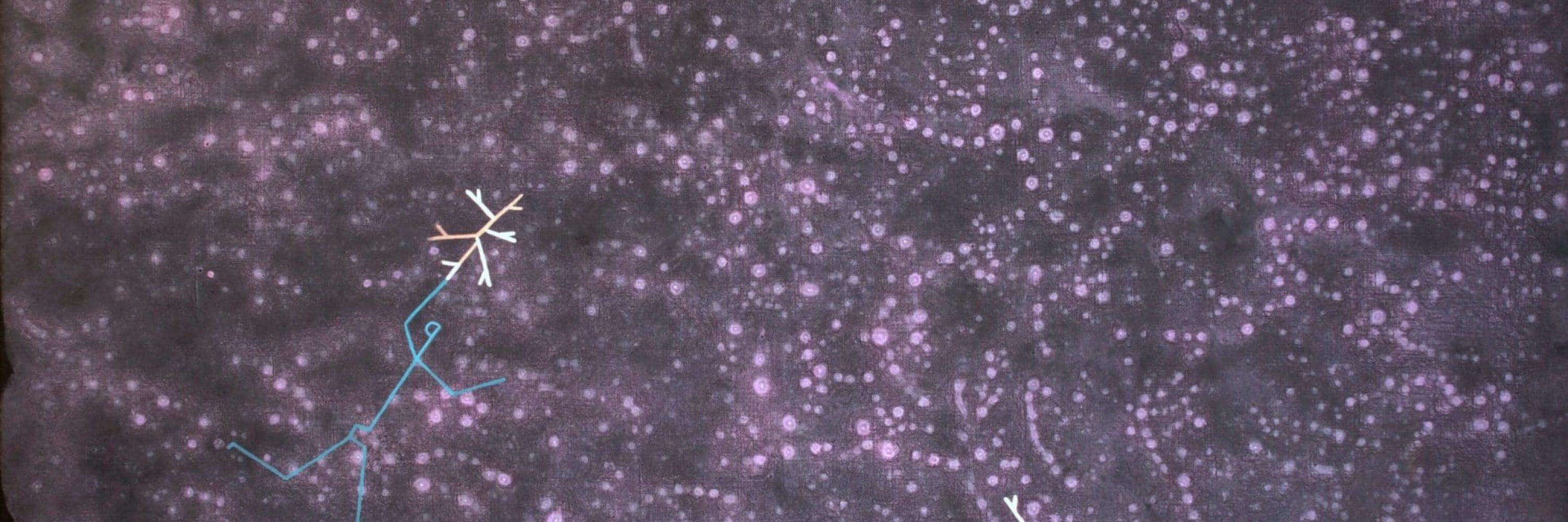 Canopée Mauve, 2020