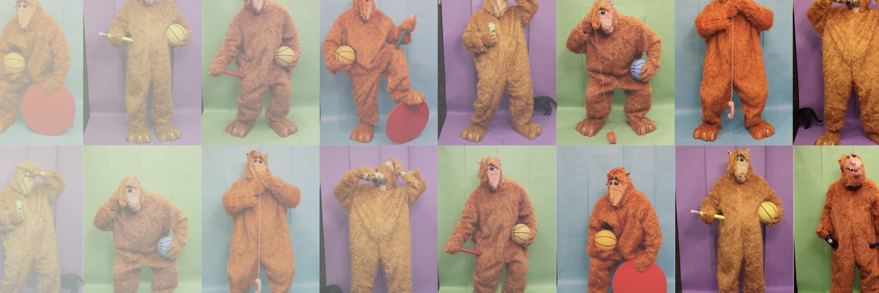 Bannière site internet, Brent Birnbaum - 1