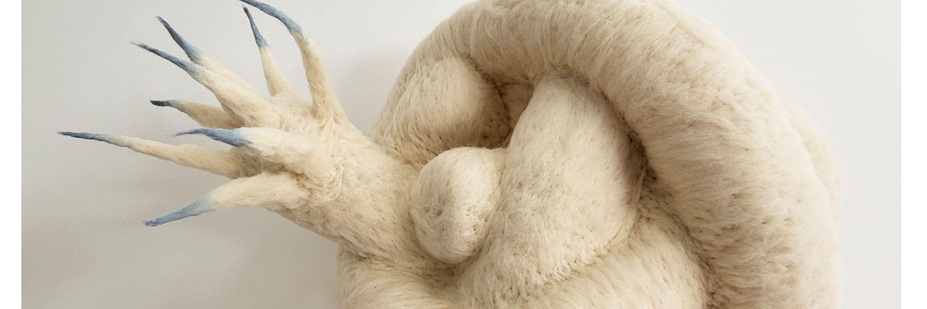 Softcontact 001, 2025