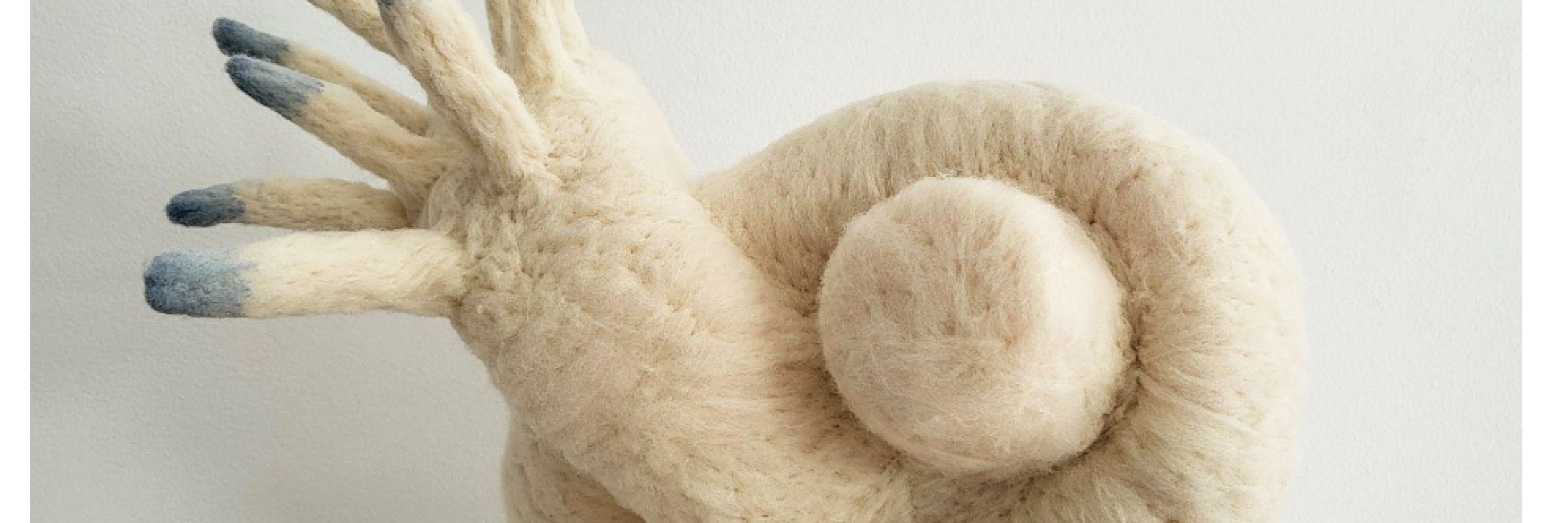 Softcontact 002, 2025