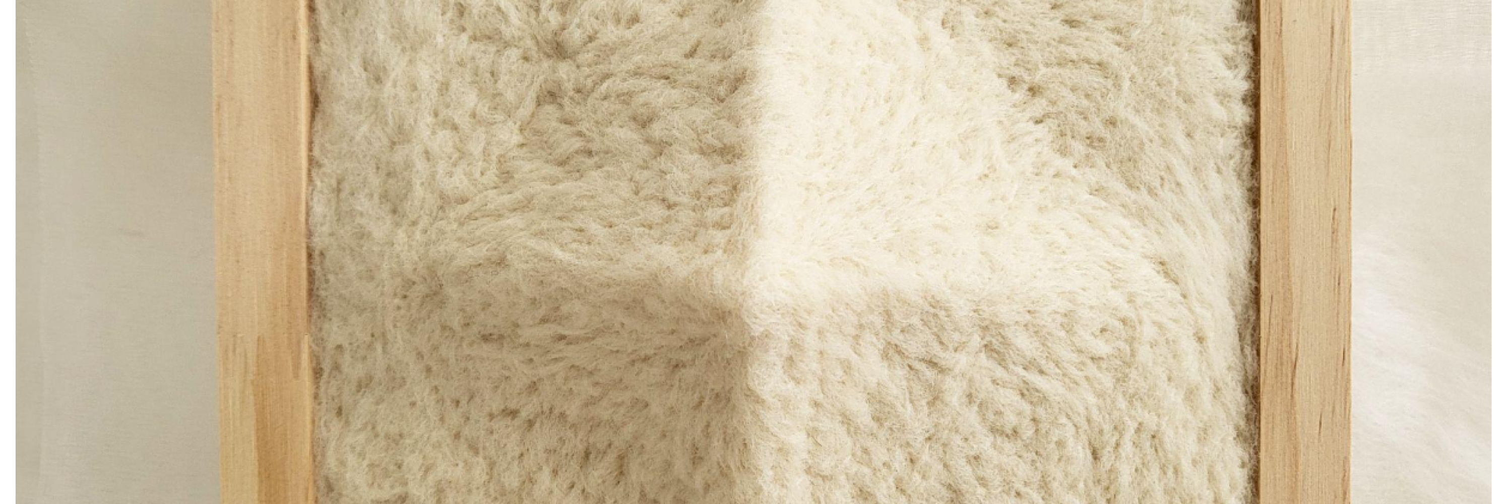 Softcontact 006, 2025