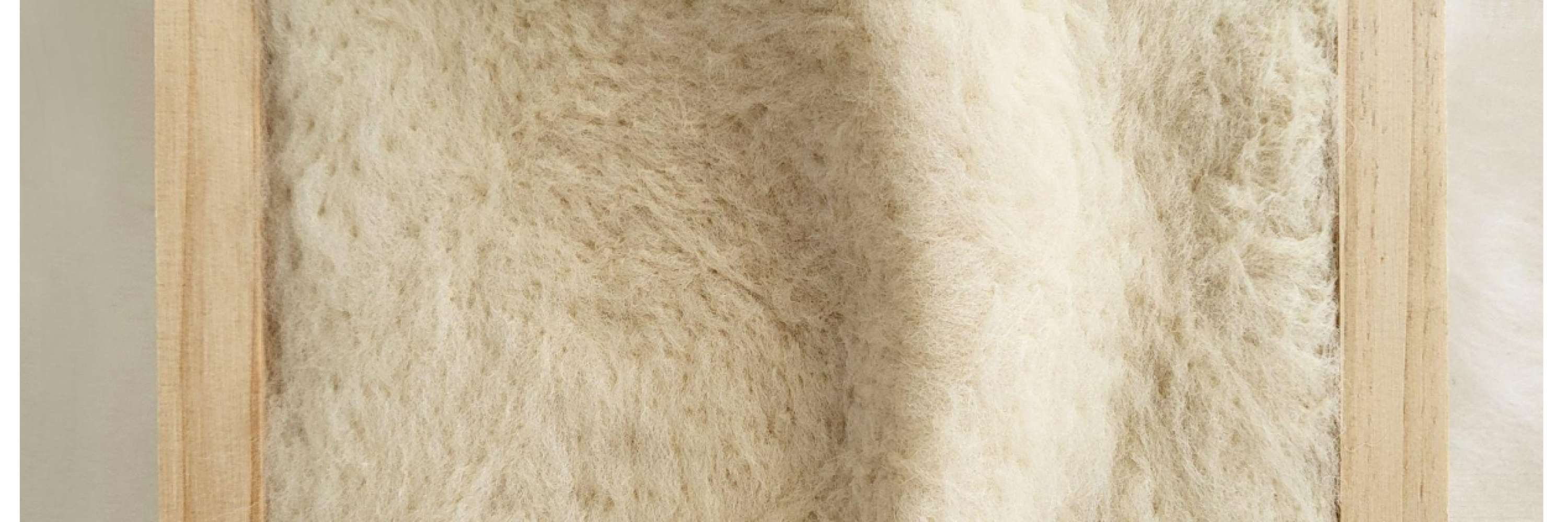 Softcontact 008, 2025