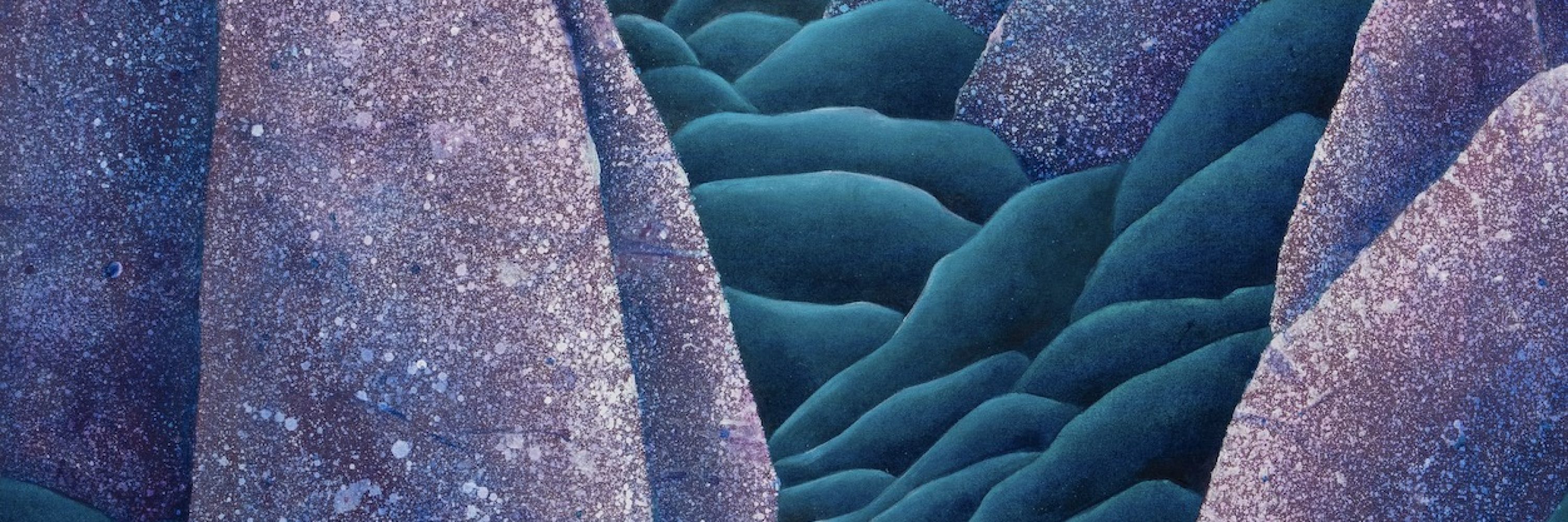 Sailing the velvet seas, 2025