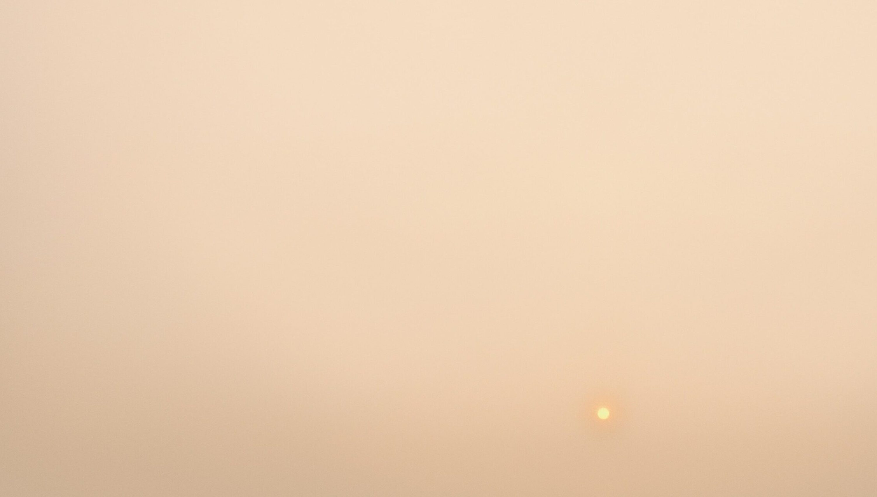 was morning, 2022, Archival Pigment Print, 55 x 120